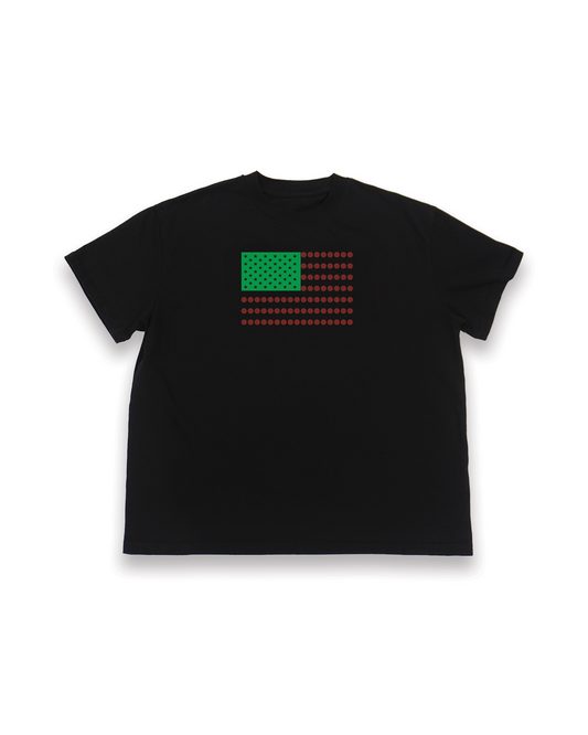 AMERICAN FLAG BHM 2026 T-SHIRT