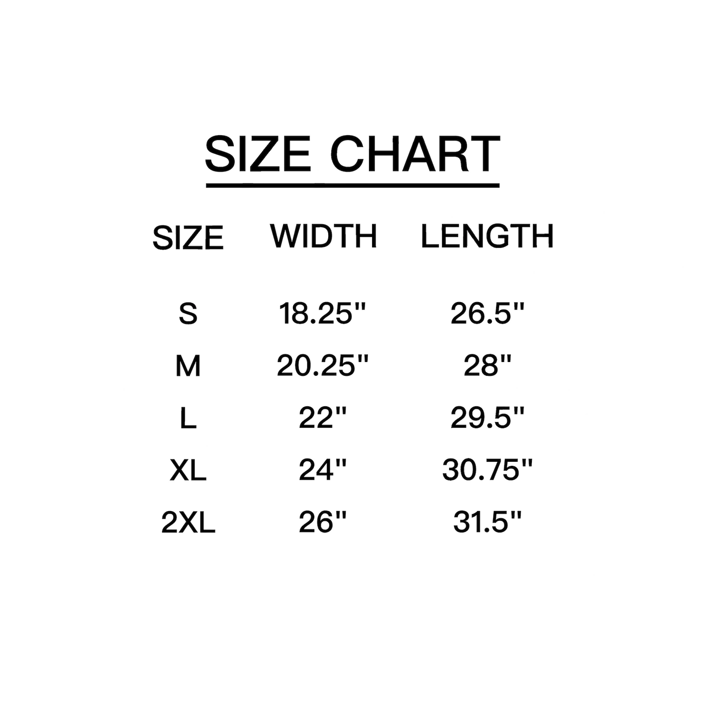 AMERICAN FLAG BHM 2026 T-SHIRT